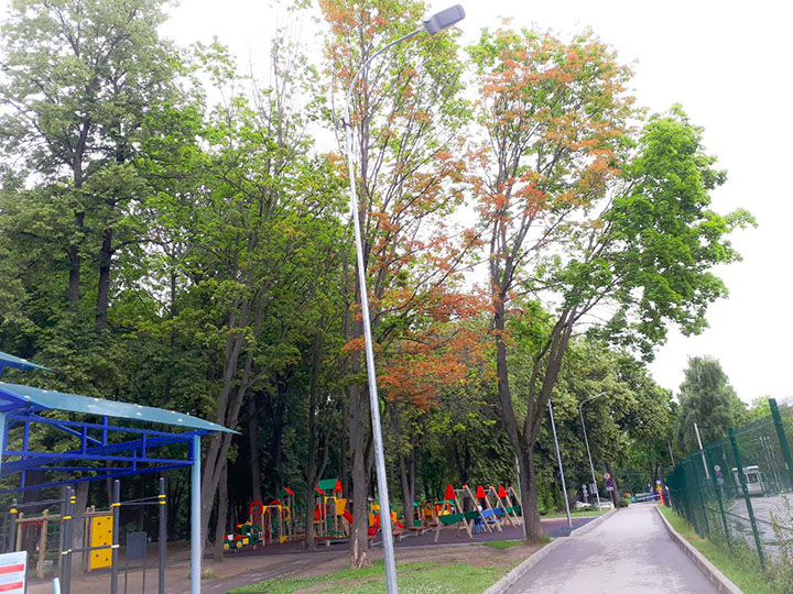 Рогожинский парк в туле
